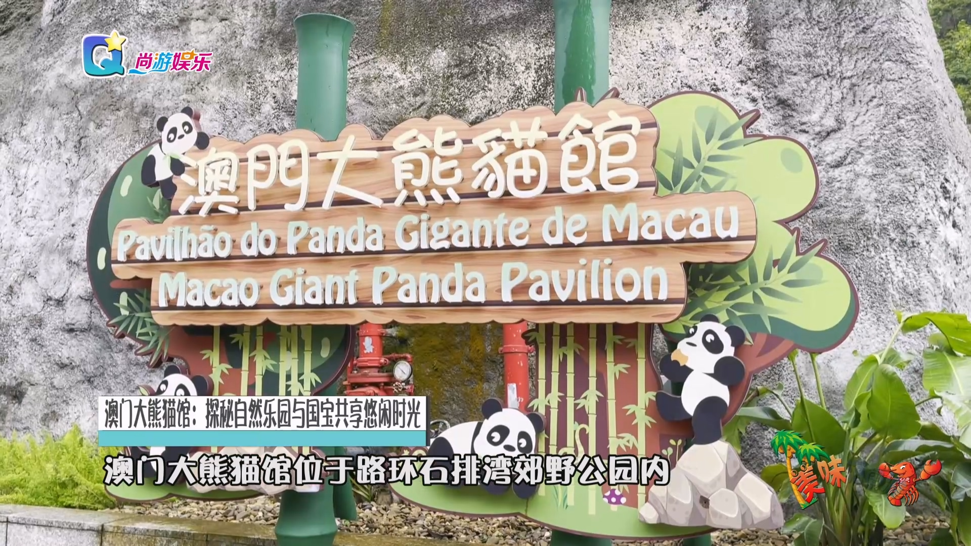 澳门大熊猫馆：探秘自然乐园与国宝共享悠闲时光
