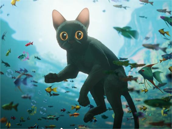 金球奖最佳动画长片《猫猫的奇幻漂流》定档2月28日