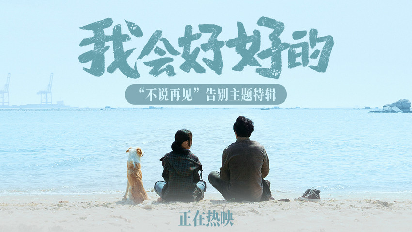 热映影片《我会好好的》宠物视角诠释人生课题 带着爱勇敢向前