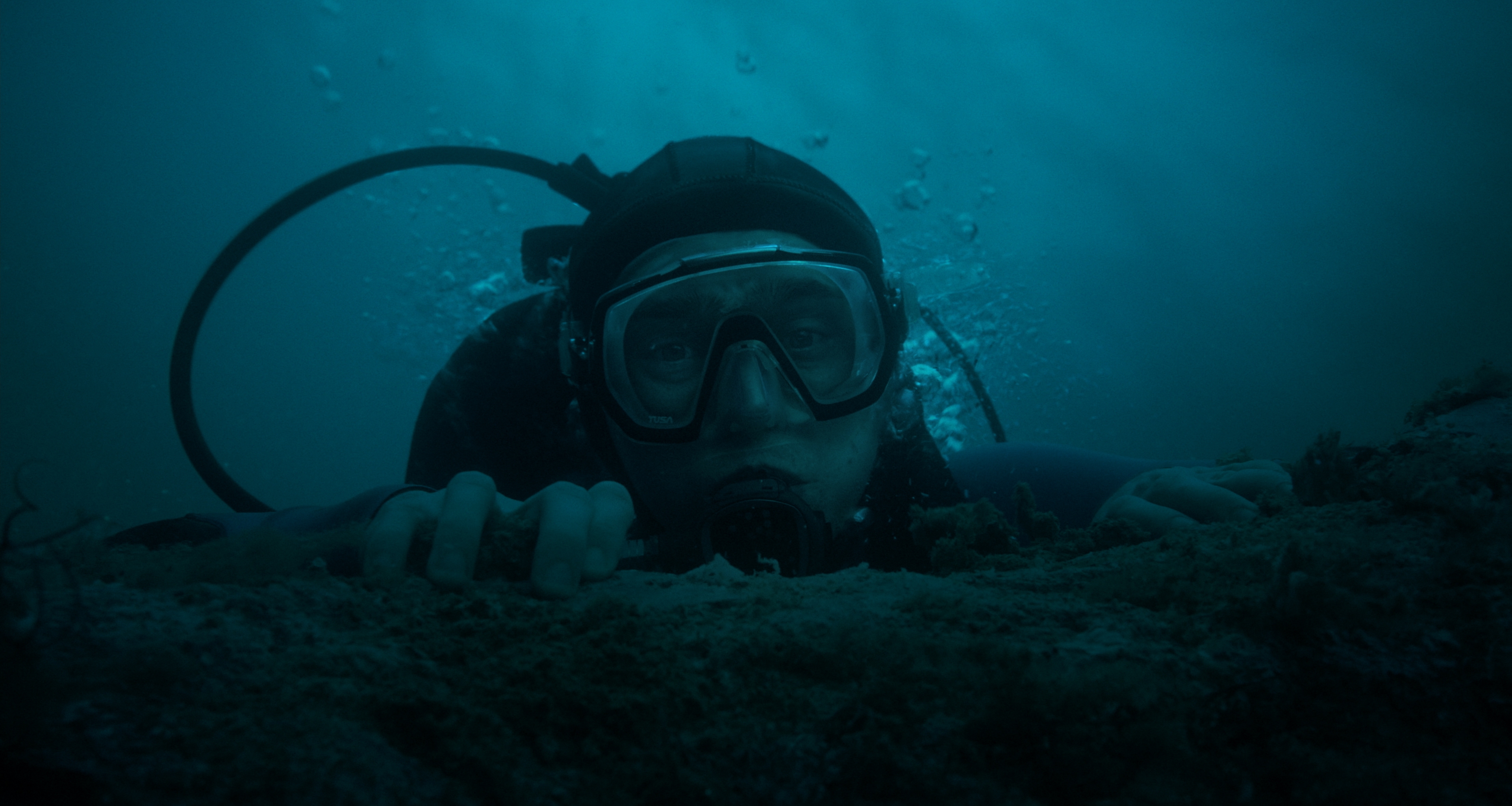 WHALEFALL-TF-1.jpg
